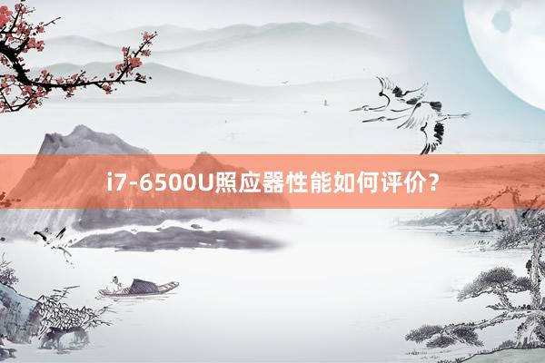 i7-6500U照应器性能如何评价？